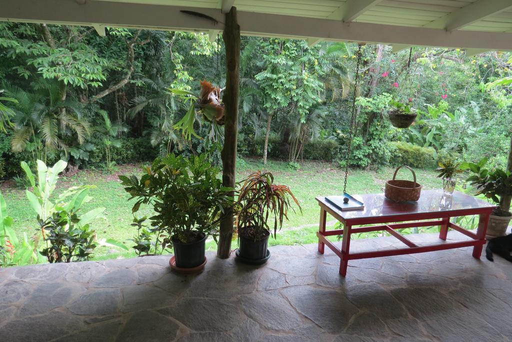 Apartamento Karibu Lägenhet Manuel Antonio Rum bild